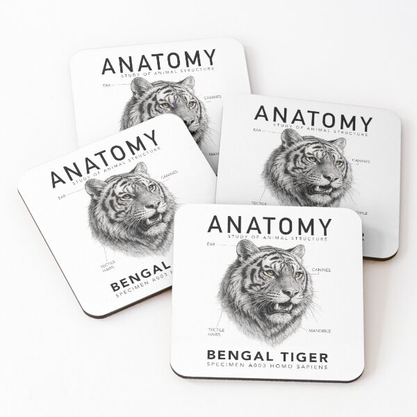 Item preview, ANATOMY | Bengal Tiger Scientific Illustration Graphic designed and sold by CreativeCook.