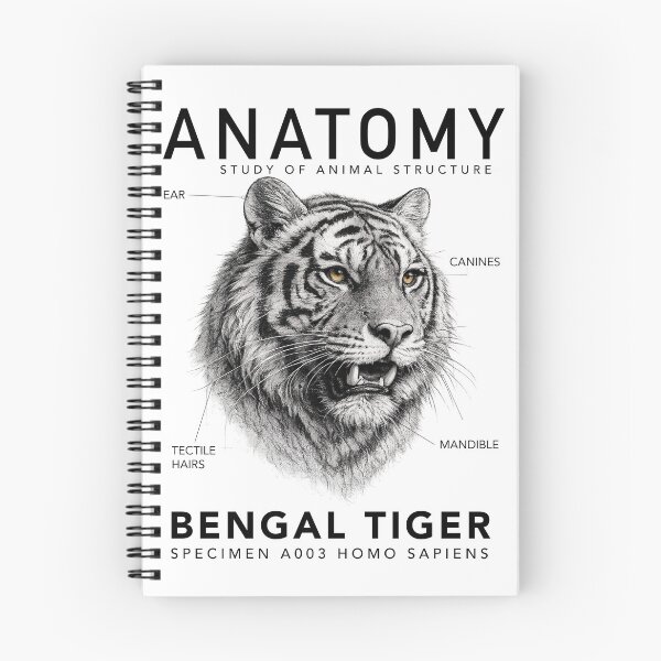 Item preview, ANATOMY | Bengal Tiger Scientific Illustration Graphic designed and sold by CreativeCook.