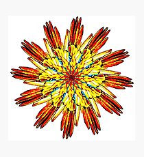 phoenix Photographic Print