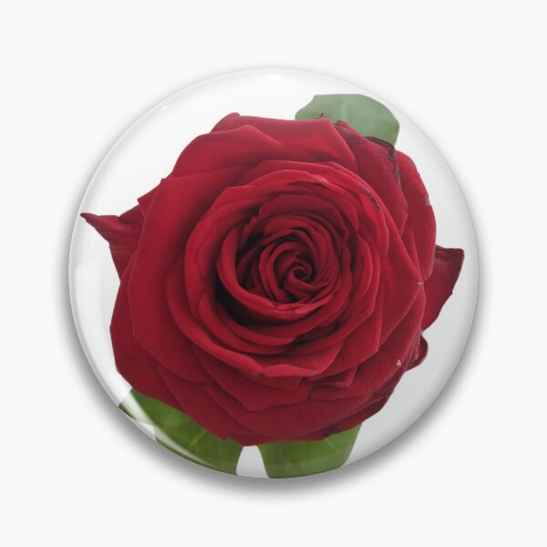 Item preview, Red Rose For Bringing Love To Oneself and The World White Background designed and sold by BOKEbyTC.