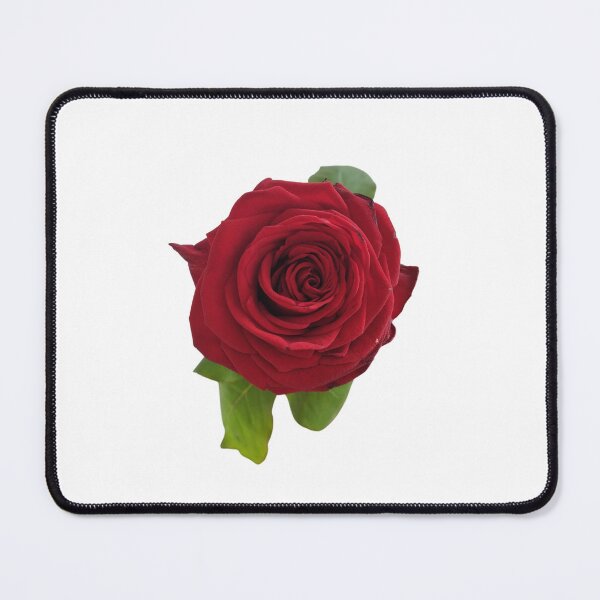 Item preview, Red Rose For Bringing Love To Oneself and The World White Background designed and sold by BOKEbyTC.