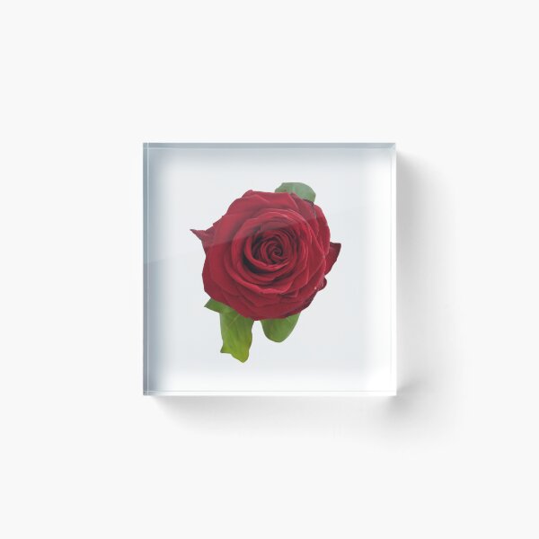 Item preview, Red Rose For Bringing Love To Oneself and The World White Background designed and sold by BOKEbyTC.