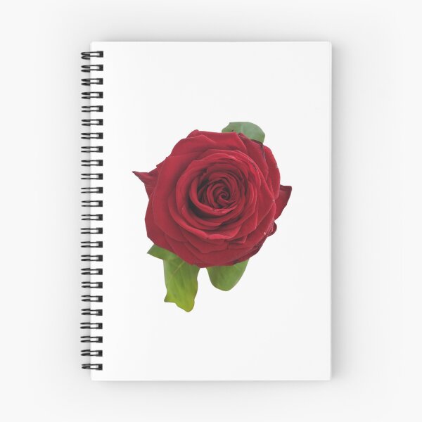 Item preview, Red Rose For Bringing Love To Oneself and The World White Background designed and sold by BOKEbyTC.