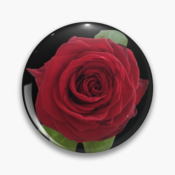 Item preview, Red Rose For Bringing Love To Oneself and The World Black Background designed and sold by BOKEbyTC.