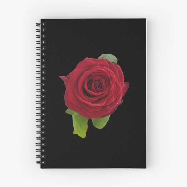 Item preview, Red Rose For Bringing Love To Oneself and The World Black Background designed and sold by BOKEbyTC.