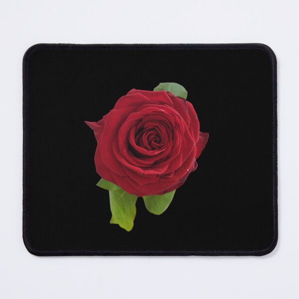 Item preview, Red Rose For Bringing Love To Oneself and The World Black Background designed and sold by BOKEbyTC.