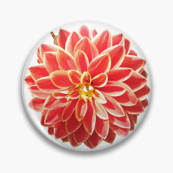 Item preview, Dahlia Red Pink Coral Dahlia For Bringing Positive Vibes and Strength To Oneself and The World White Background designed and sold by BOKEbyTC.