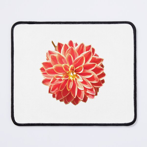 Item preview, Dahlia Red Pink Coral Dahlia For Bringing Positive Vibes and Strength To Oneself and The World White Background designed and sold by BOKEbyTC.