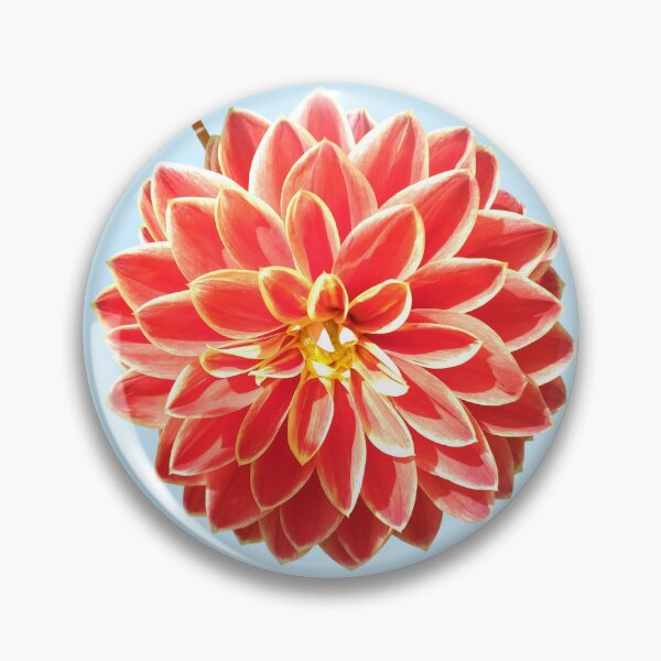 Item preview, Dahlia Red Pink Coral Dahlia For Bringing Positive Vibes and Strength To Oneself and The World Baby Blue Background designed and sold by BOKEbyTC.