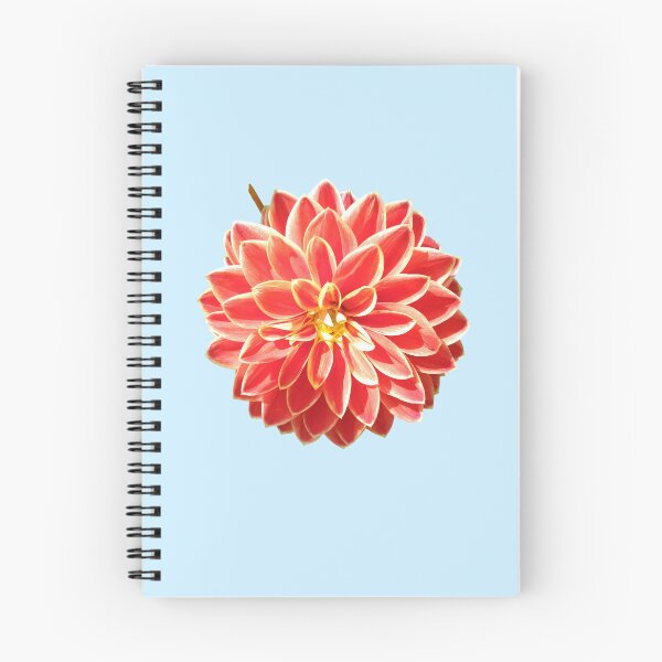 Item preview, Dahlia Red Pink Coral Dahlia For Bringing Positive Vibes and Strength To Oneself and The World Baby Blue Background designed and sold by BOKEbyTC.