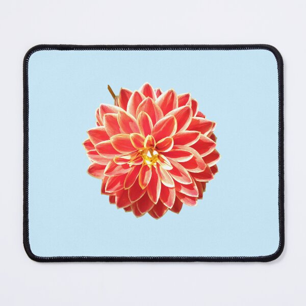Item preview, Dahlia Red Pink Coral Dahlia For Bringing Positive Vibes and Strength To Oneself and The World Baby Blue Background designed and sold by BOKEbyTC.