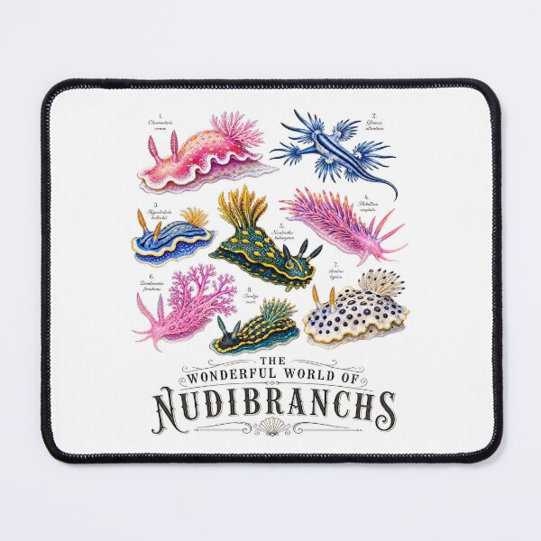 Item preview, The Wonderful World of Nudibranchs - Vintage Marine Biology T-Shirt designed and sold by Inky Atlas.