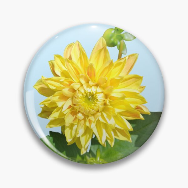 Item preview, Dahlia Gelber Vulcan Yellow For Bringing Positive Vibes and Strength To Oneself and The World Baby Blue Background designed and sold by BOKEbyTC.