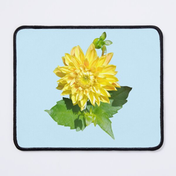 Item preview, Dahlia Gelber Vulcan Yellow For Bringing Positive Vibes and Strength To Oneself and The World Baby Blue Background designed and sold by BOKEbyTC.