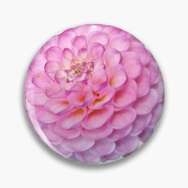 Item preview, Pink Pompon Dahlia Wizard Of Oz For Bringing Positive Vibes and Strength To Oneself and The World White Background designed and sold by BOKEbyTC.