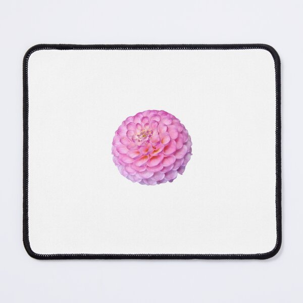 Item preview, Pink Pompon Dahlia Wizard Of Oz For Bringing Positive Vibes and Strength To Oneself and The World White Background designed and sold by BOKEbyTC.