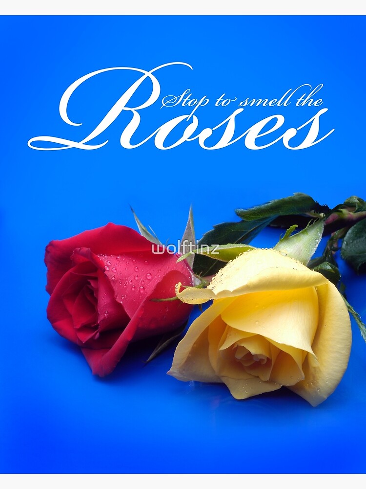 "Stop to Smell the Roses" Poster by wolftinz Redbubble