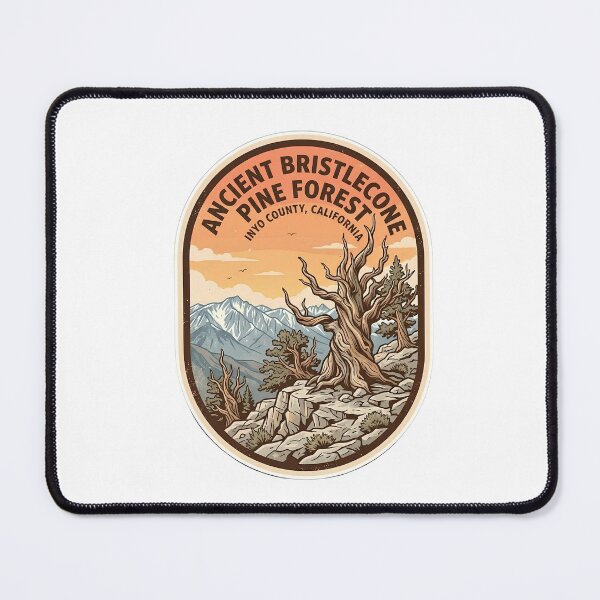 Item preview, Vintage Ancient Bristlecone Pine Forest Inyo County California designed and sold by LittleArij.