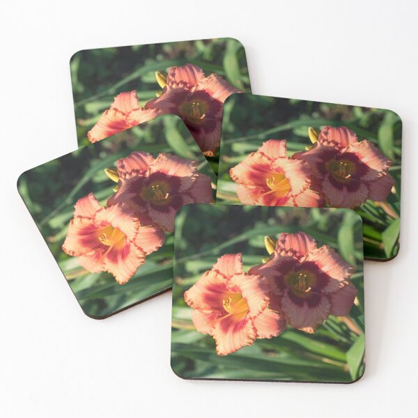 Item preview, Two Sunlit Orangey Pink Daylilies in Bloom designed and sold by Georgia Mizuleva.