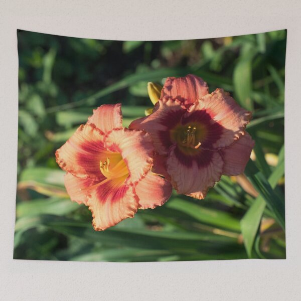 Item preview, Two Sunlit Orangey Pink Daylilies in Bloom designed and sold by Georgia Mizuleva.
