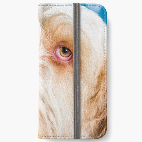 Delicate thoughts Spinone iPhone Wallet