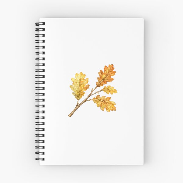 Item preview, Oak Leaf Branch Clipart | Watercolor Botanical Branch | Autumn Botanical Art designed and sold by Nolmo.
