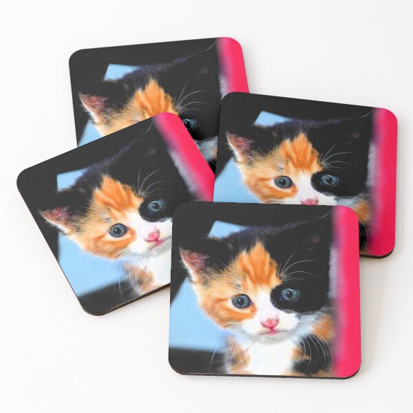 Item preview, Cute Kitten designed and sold by Dlt1981.