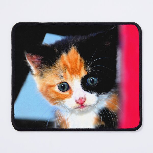 Item preview, Lindo gatito designed and sold by Dlt1981.