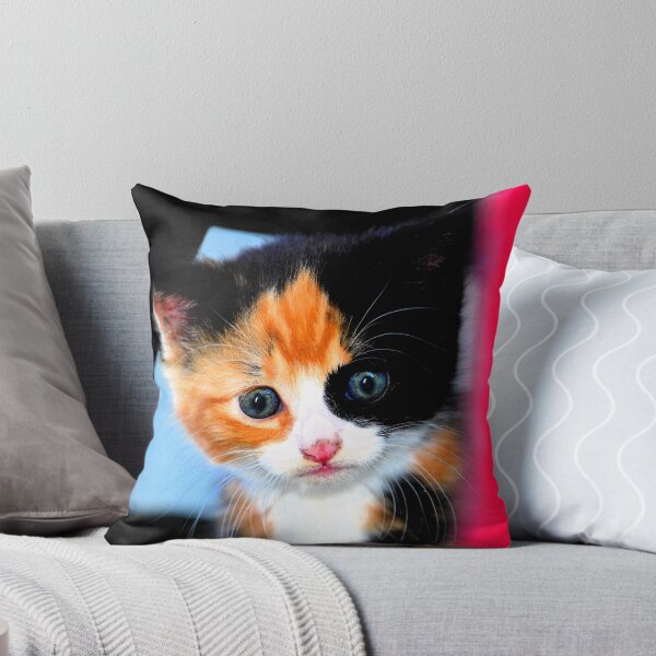 Item preview, Cute Kitten designed and sold by Dlt1981.