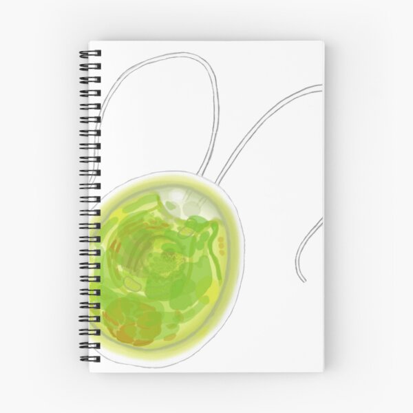 Item preview, Chlamydomonas biology designed and sold by AriukSabathiel.
