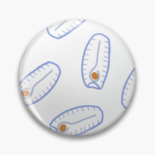 Item preview, Salps biology designed and sold by AriukSabathiel.