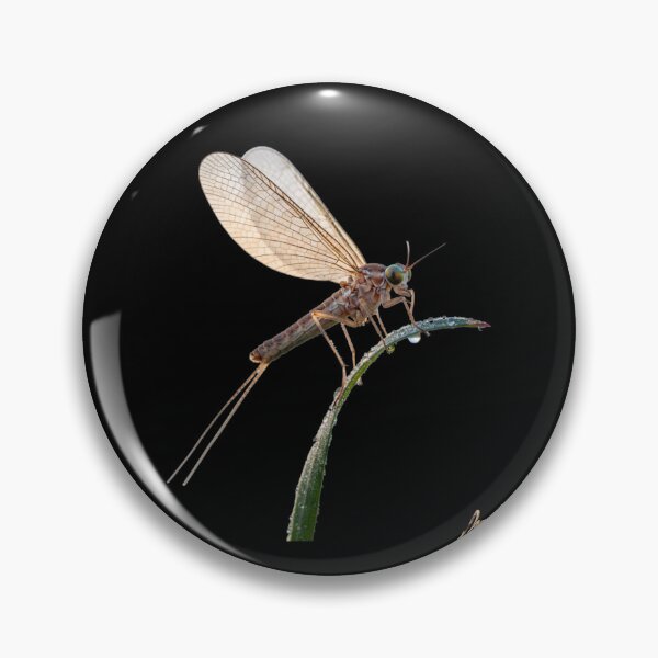 Item preview, MAYFLY II designed and sold by BabaSoti.