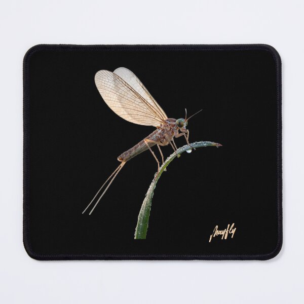 Item preview, MAYFLY II designed and sold by BabaSoti.