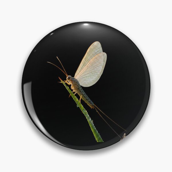 Item preview, MAYFLY designed and sold by BabaSoti.