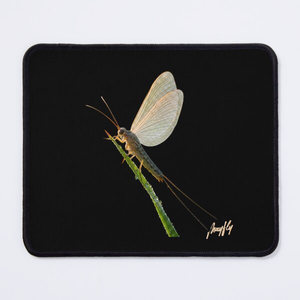 Item preview, MAYFLY designed and sold by BabaSoti.
