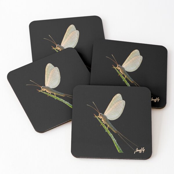 Item preview, MAYFLY designed and sold by BabaSoti.