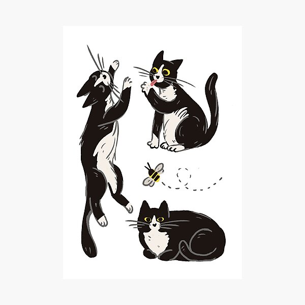 Item preview, Tuxedo Trio of Cats designed and sold by DanuskaArt.