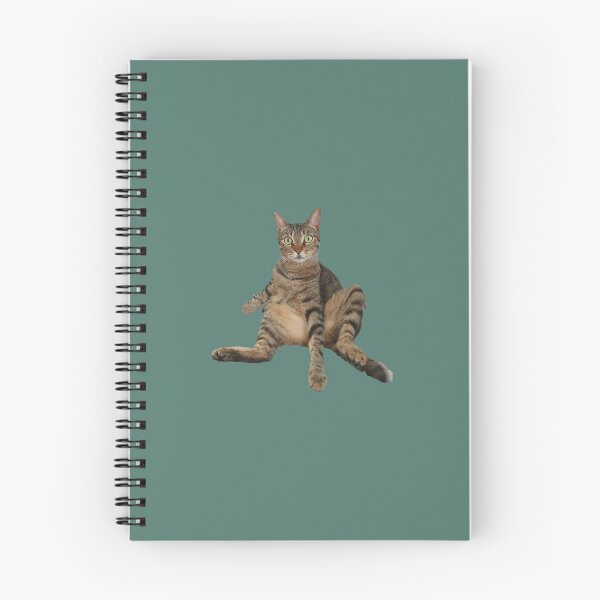 Item preview, Funny Sitting Tabby Cat Meme designed and sold by Yanshuf.