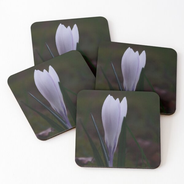 Item preview, White Crocus Flower designed and sold by ShotsbyDesiree.