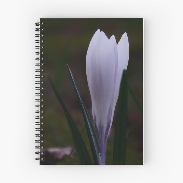 Item preview, White Crocus Flower designed and sold by ShotsbyDesiree.