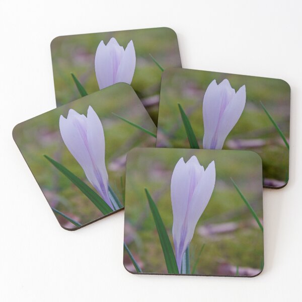Item preview, Soft Purple Crocus – Gentle Spring Macro designed and sold by ShotsbyDesiree.