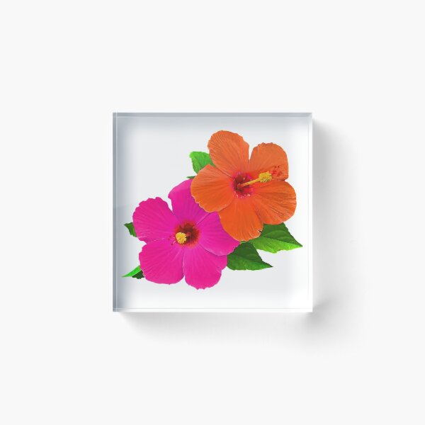 Item preview, PixDezines Fresh Hibiscus Pink+Orange designed and sold by PixDezines.