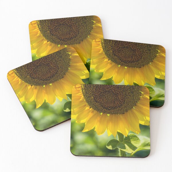 Item preview, Vibrant Sunflower Photo designed and sold by MoePhotography.