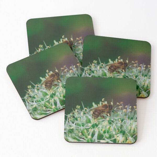 Item preview, Bee on White Allium Flower Macro Photography | NorthWild Nature Collection designed and sold by NorthWild.