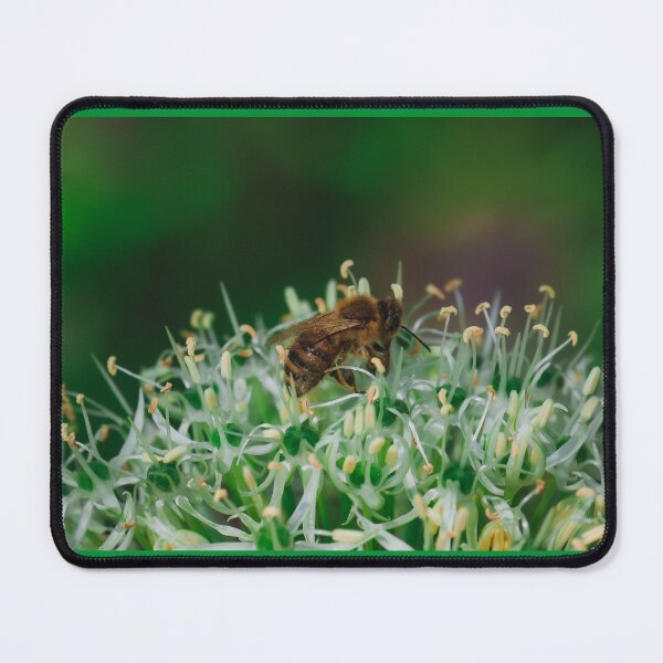 Item preview, Bee on White Allium Flower Macro Photography | NorthWild Nature Collection designed and sold by NorthWild.