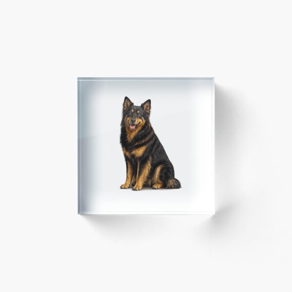 Item preview, Perro pastor bohemio designed and sold by BackgroundND.