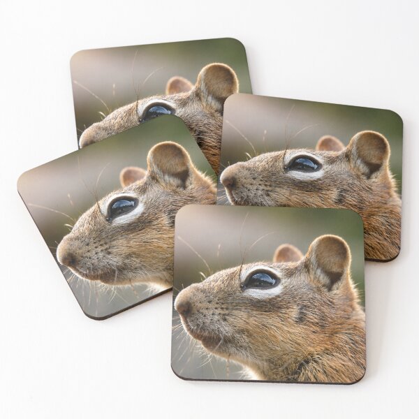 Item preview, Golden-Mantled Ground Squirrel Portrait designed and sold by Kimberly Palmer.