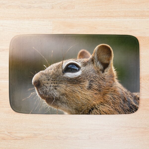 Item preview, Golden-Mantled Ground Squirrel Portrait designed and sold by Kimberly Palmer.