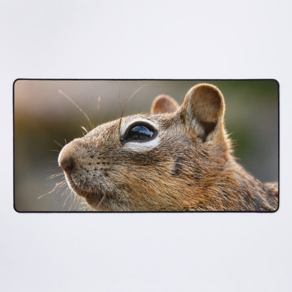 Item preview, Golden-Mantled Ground Squirrel Portrait designed and sold by Kimberly Palmer.