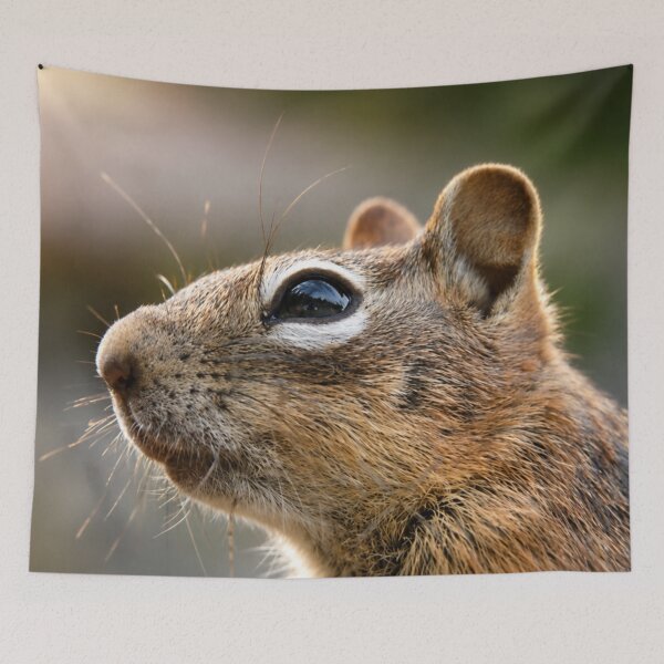 Item preview, Golden-Mantled Ground Squirrel Portrait designed and sold by Kimberly Palmer.